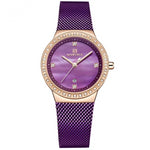Women Luxury Simple Quartz Lady Waterproof Wristwatch