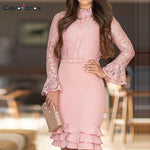 Women Elegant  Lace Bodice Layered Cascading long Sleeve Ruffle Hem Dress