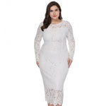 Elegant Women Plus Size White Lace O Neck Spring Party Dress